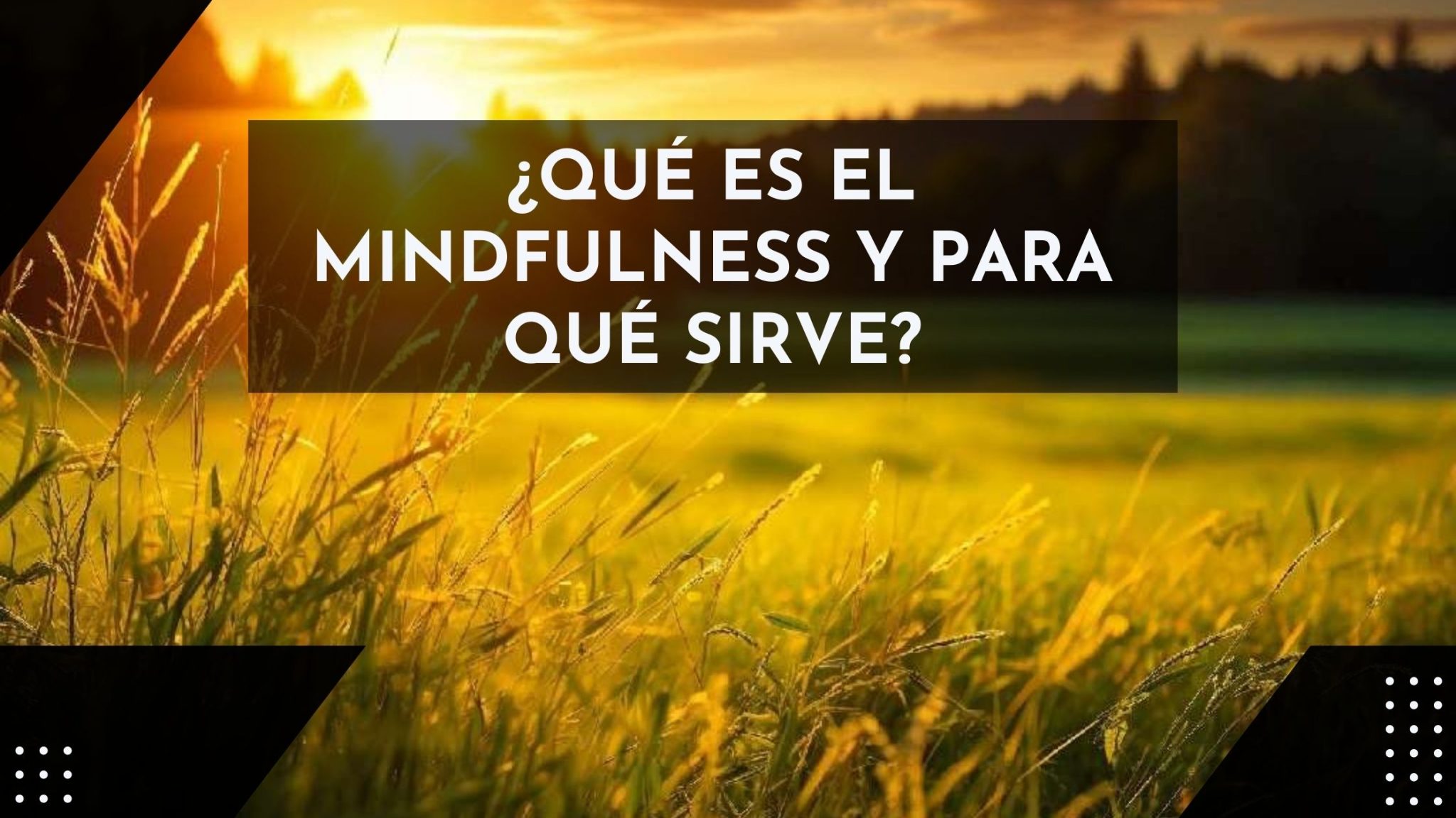 Qu Es El Mindfulness Y Para Qu Sirve Beneficios Y Pr Cticas En Espa A